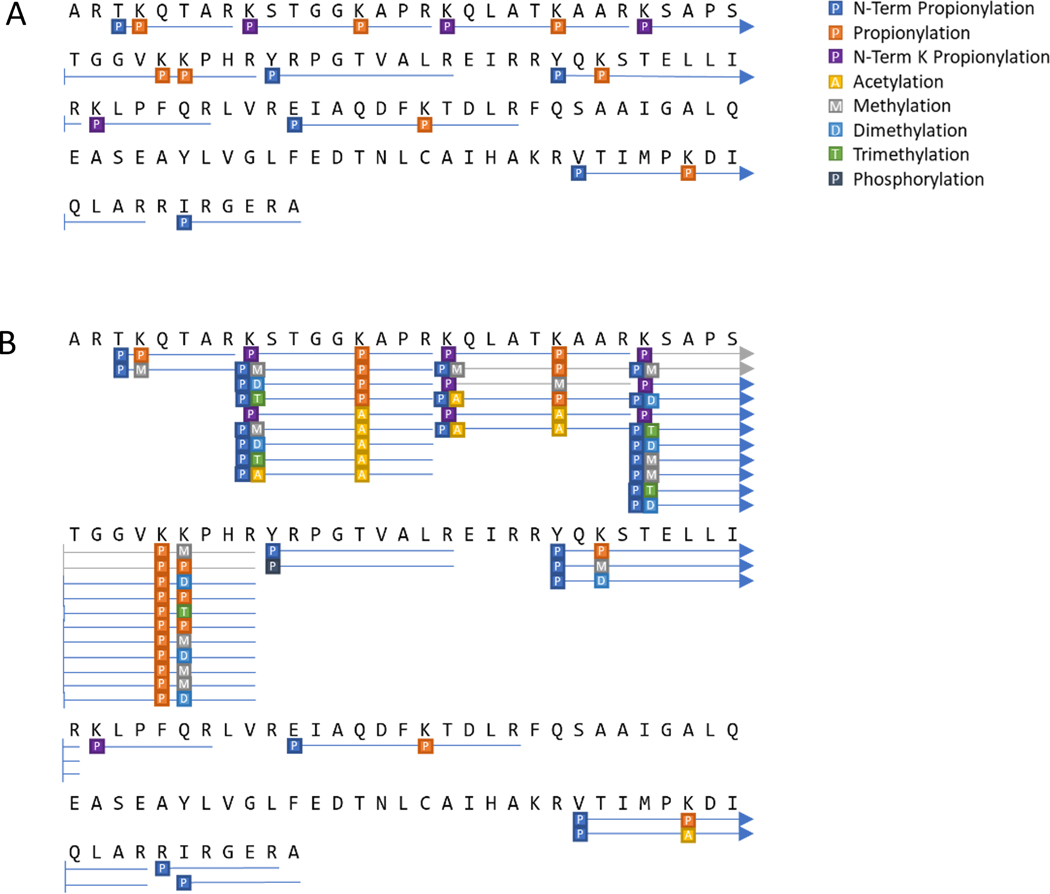 Figure 10: