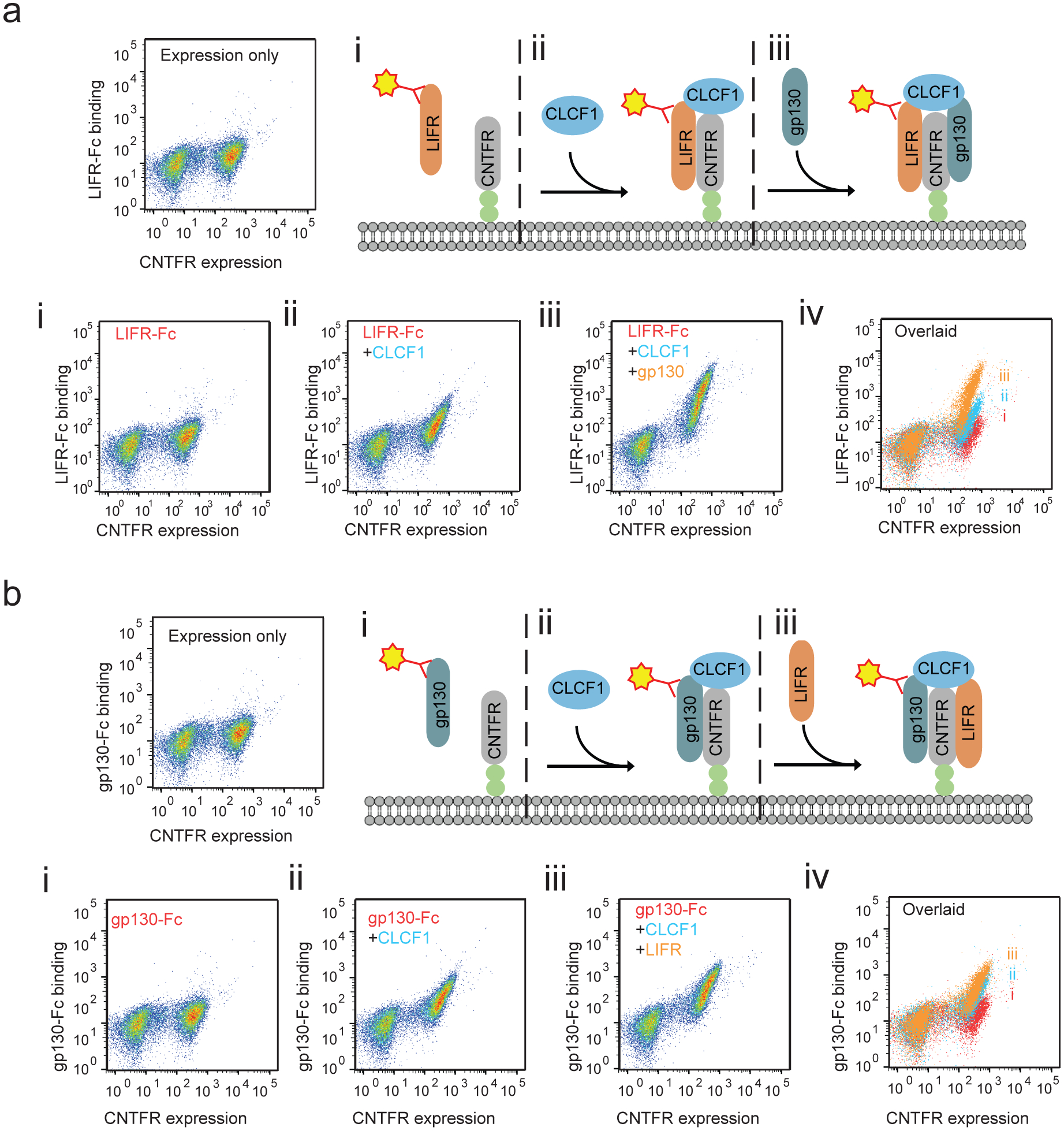 Extended Data Figure 7: