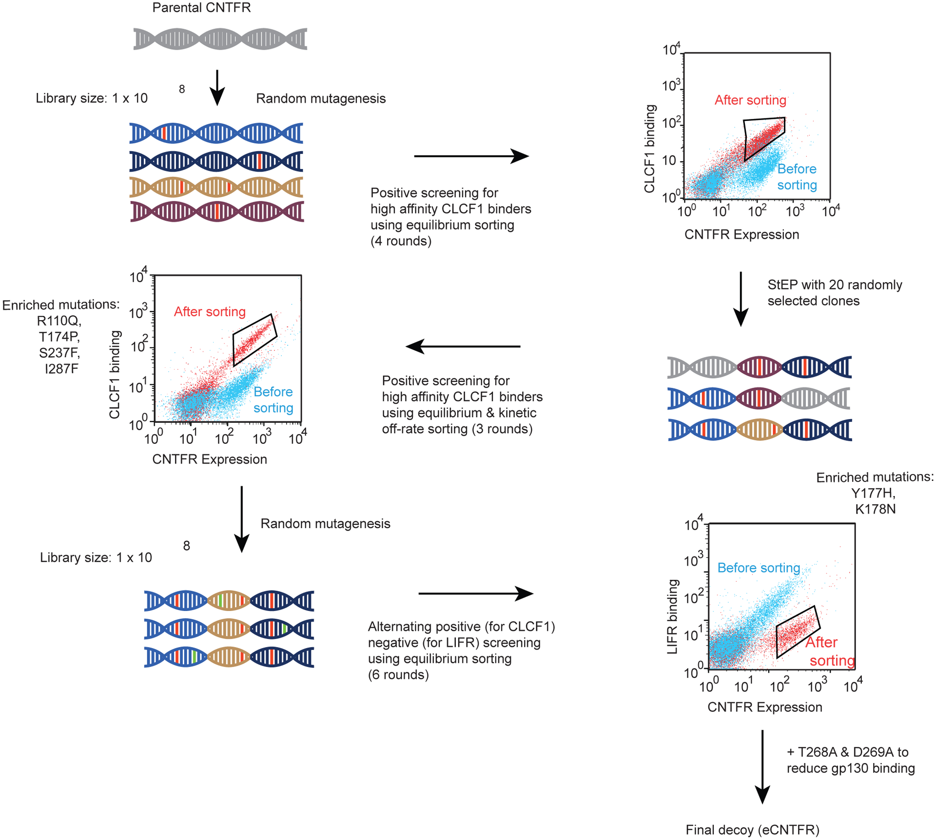 Extended Data Figure 6: