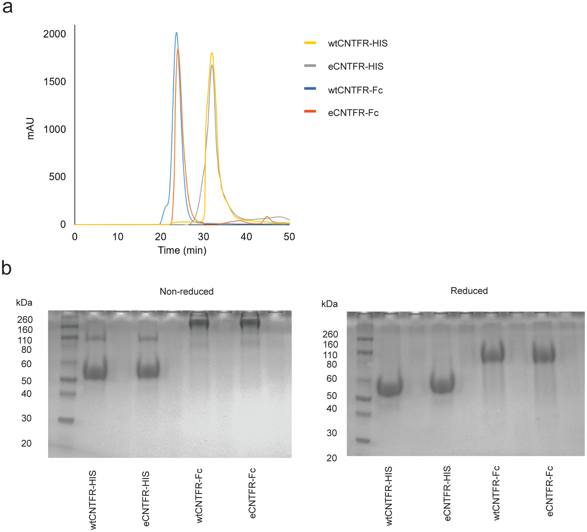 Extended Data Figure 9: