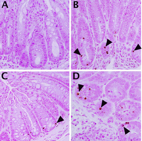 FIG. 5.