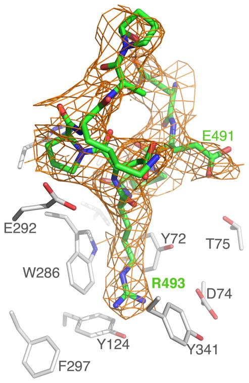 Figure 16