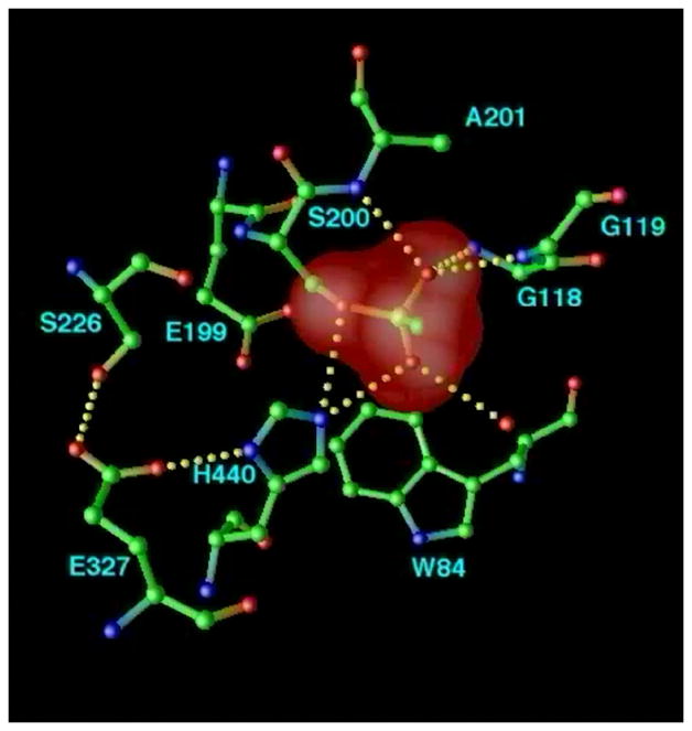 Figure 10