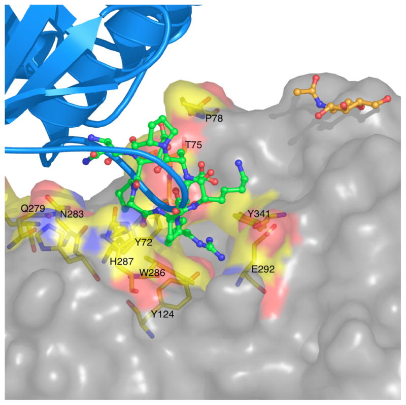 Figure 15