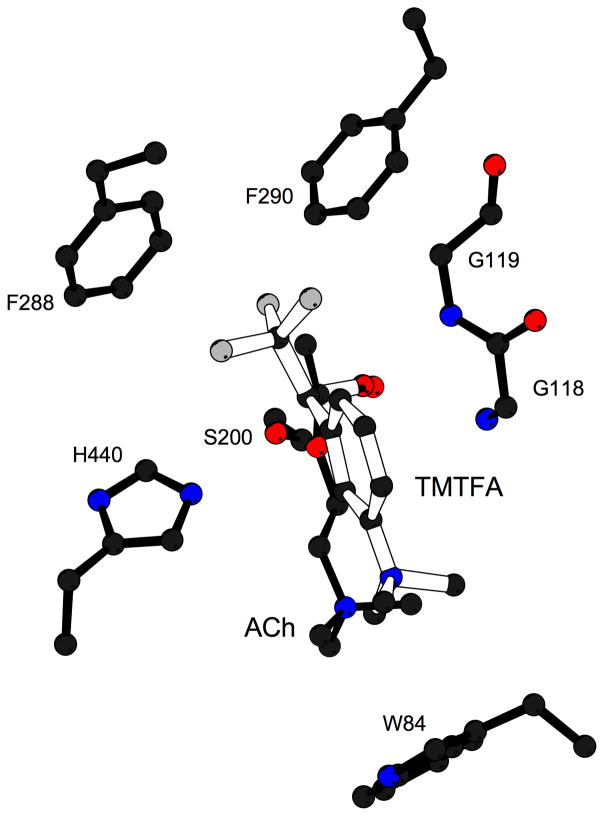 Figure 8