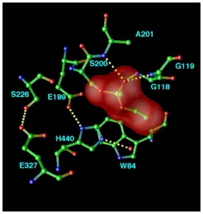 Figure 10