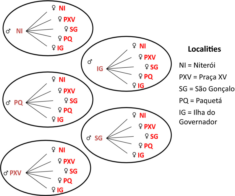 Fig. 1