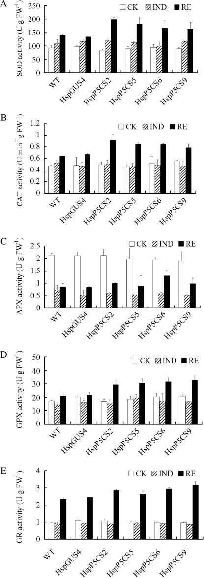 Figure 4.