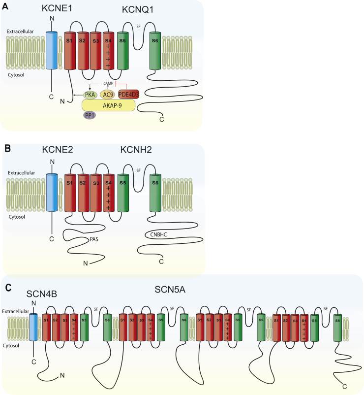 Figure 2