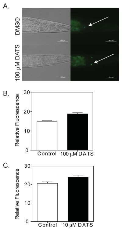 Figure 7