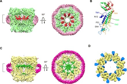 Fig. 2