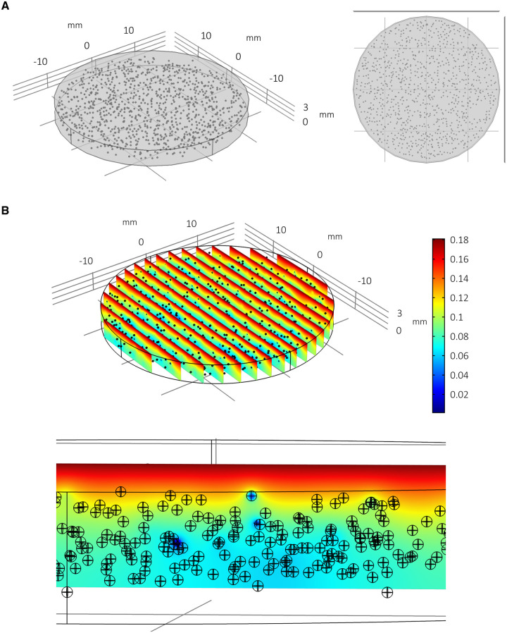 Fig 8