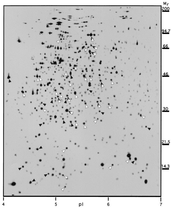 FIG. 6