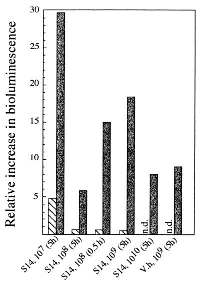 FIG. 8