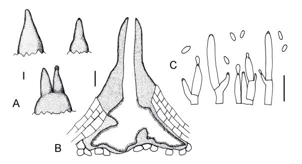 Fig. 6.