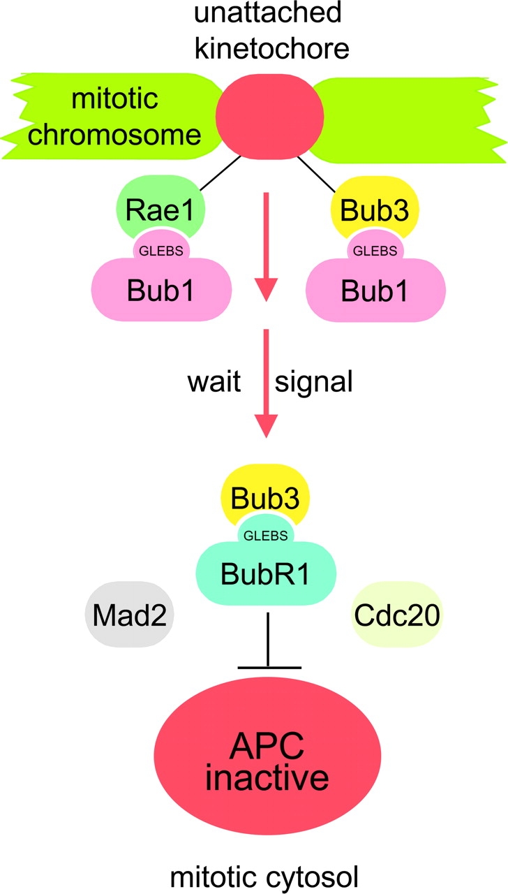 Figure 10.