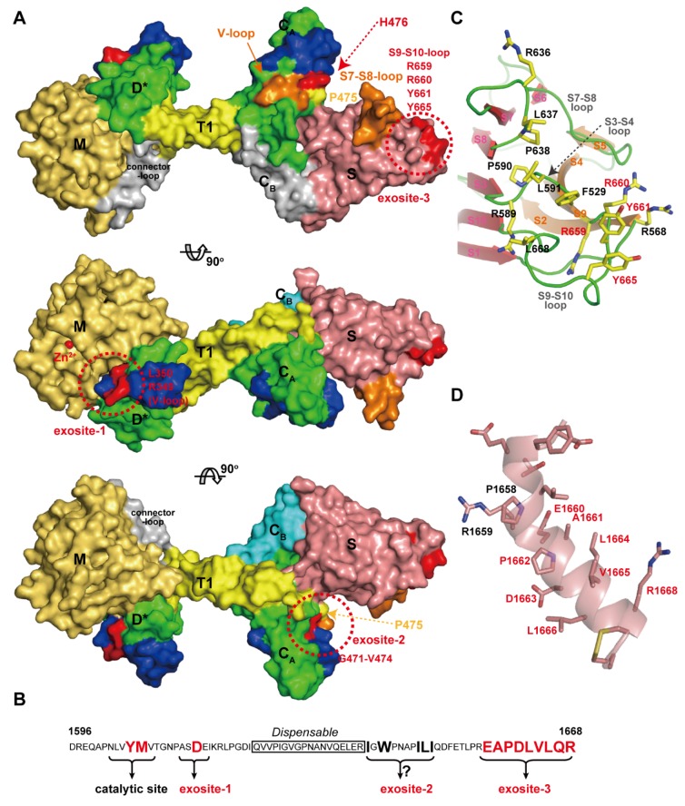 Figure 11