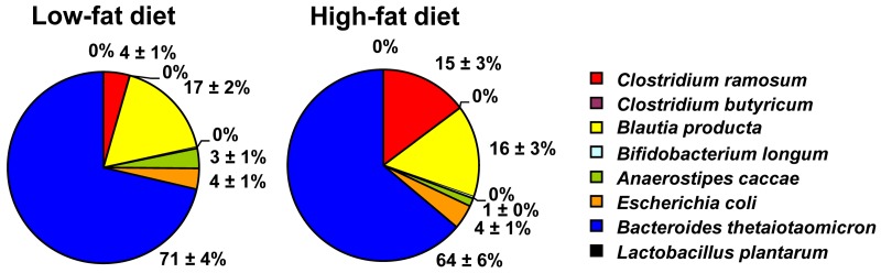 FIG 1 