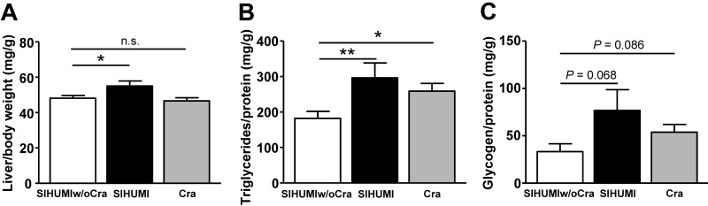 FIG 3 