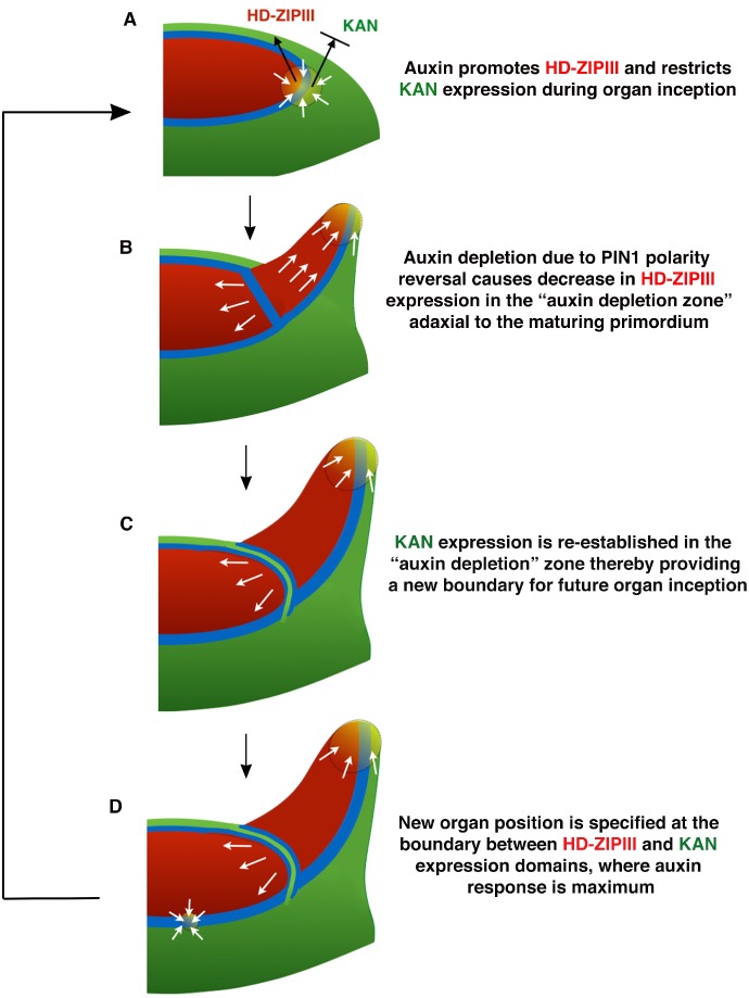 Figure 14.