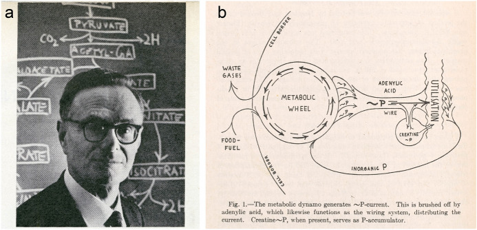 Fig. 9