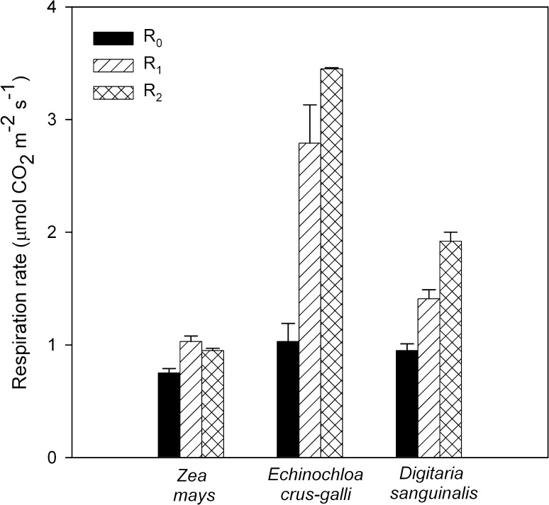 Fig. 2