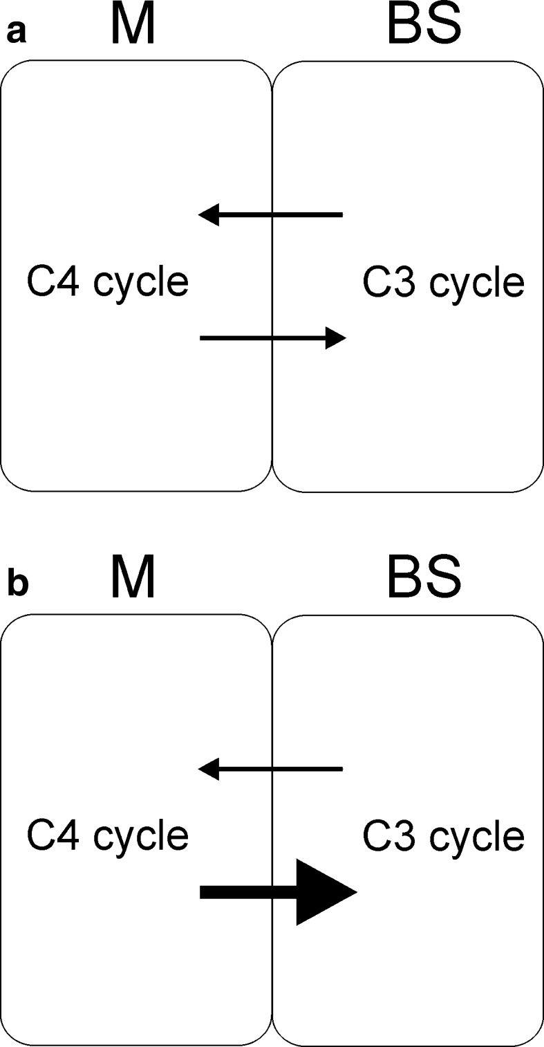 Fig. 7