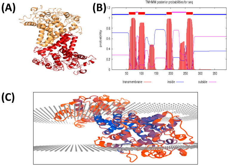 Figure 2