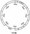 FIG. 1.