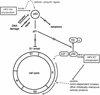 FIG. 2.