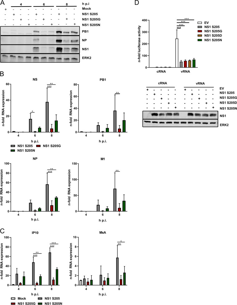 FIG 3