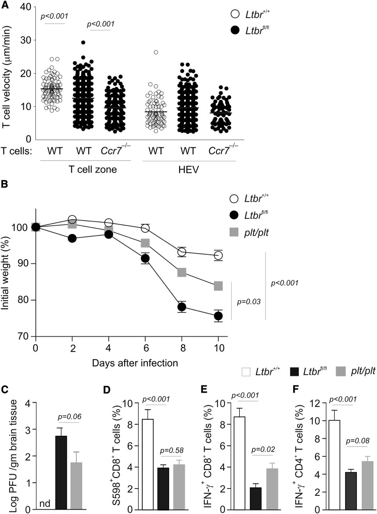 Figure 6