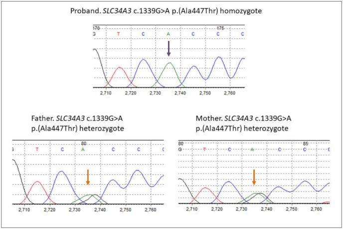 Fig. 3.