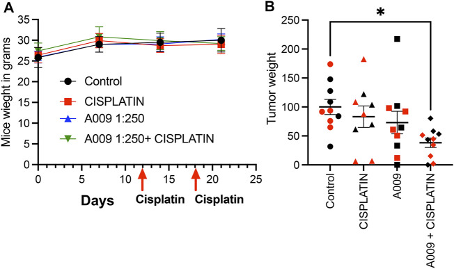 FIGURE 1