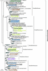 FIG. 2.