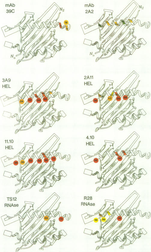 Fig. 7.