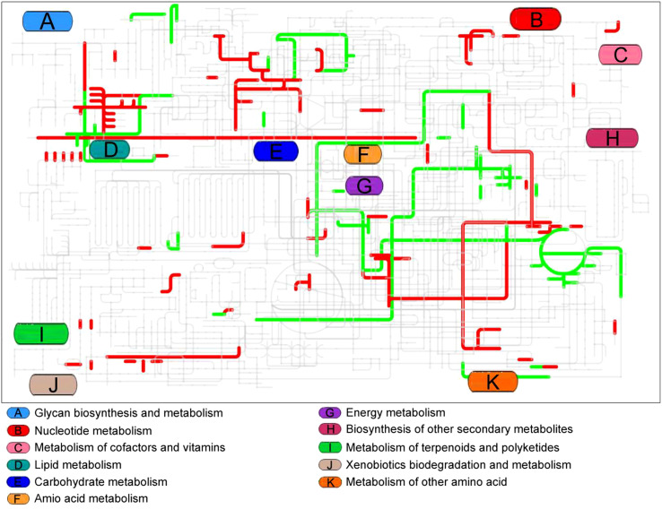 Figure 5