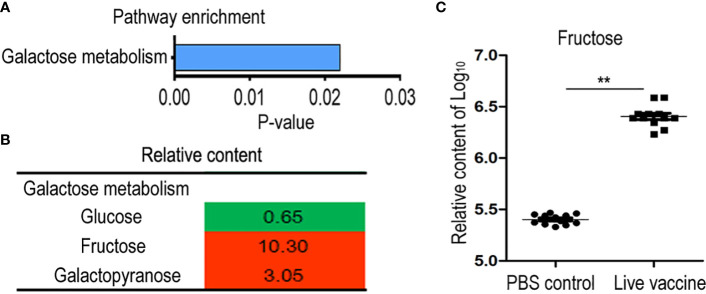 Figure 4