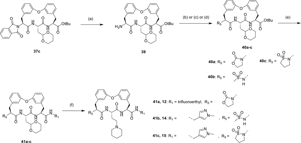 Scheme 4.