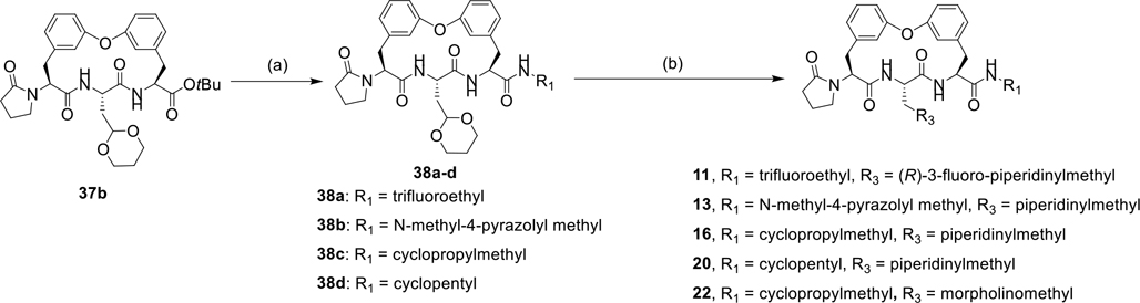 Scheme 3.