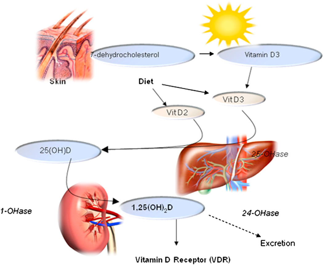 Fig 1