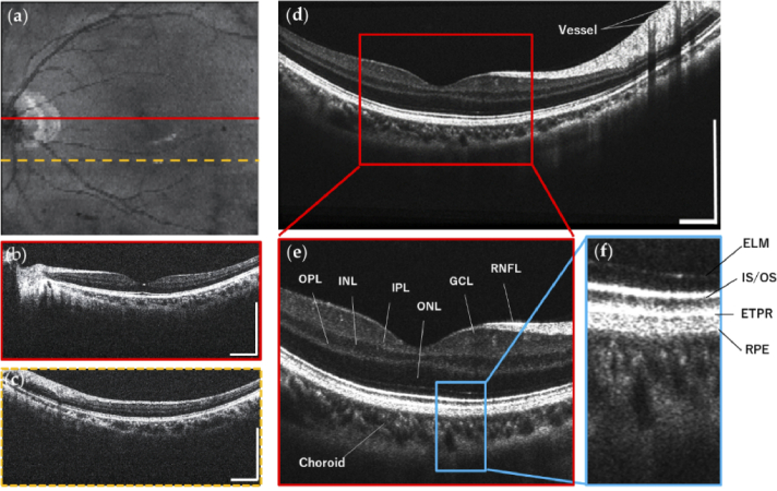 Fig. 4.