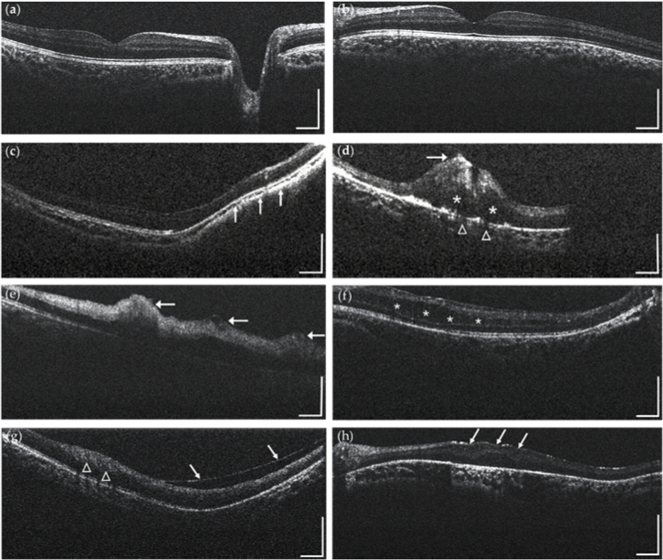 Fig. 6.