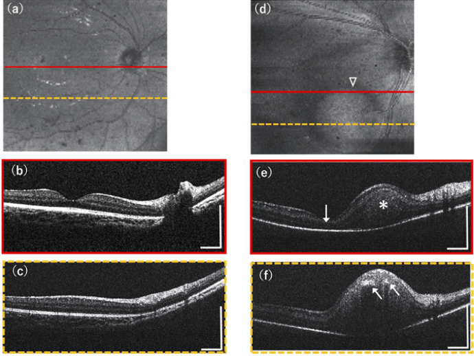 Fig. 5.