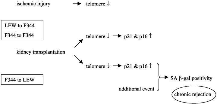 Figure 8.