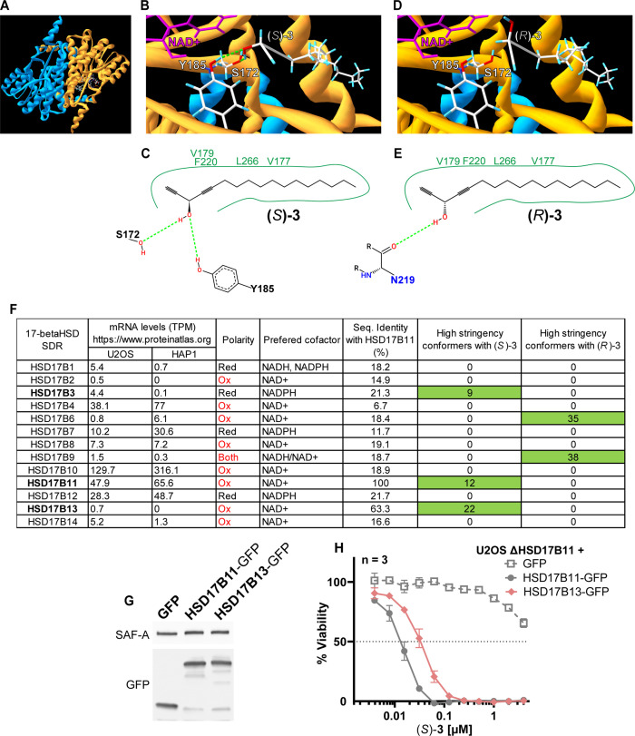 Figure 2—figure supplement 2.