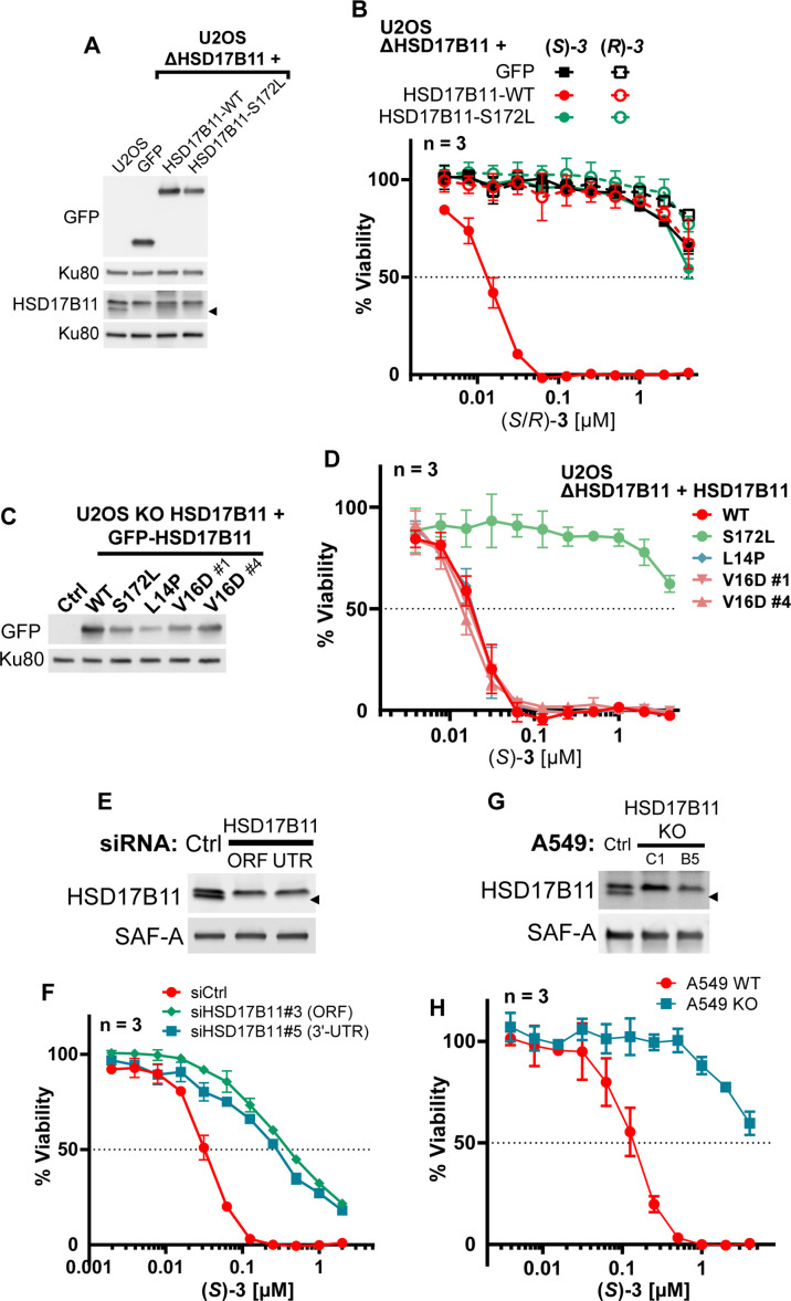 Figure 1—figure supplement 5.