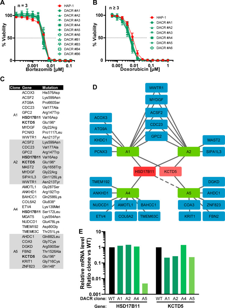 Figure 1—figure supplement 2.