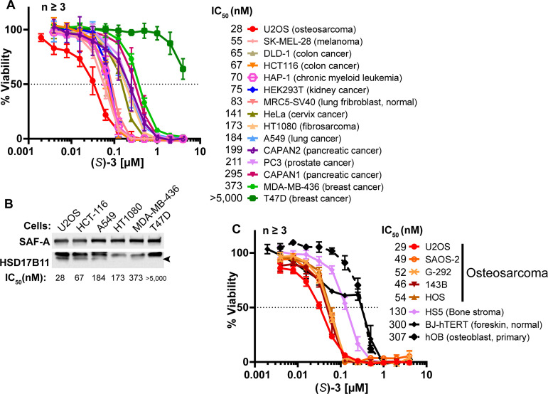 Figure 1—figure supplement 4.