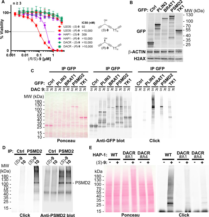 Figure 3—figure supplement 2.